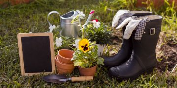 Co všechno potřebuje zahrada na jaře?