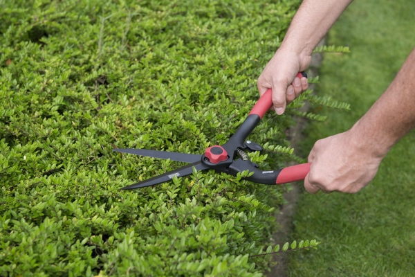 Nůžky na živý plot BUXUS s nastavením tuhosti KREATOR KRTGR3101