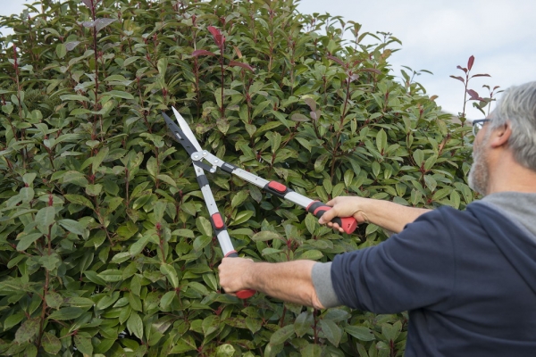 Nůžky na živý plot Teleskopické POWER² převodové KREATOR KRTGR3022