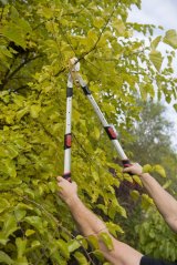 Nůžky na větve AL teleskopické POWER² převodové SK5 KREATOR KRTGR4023